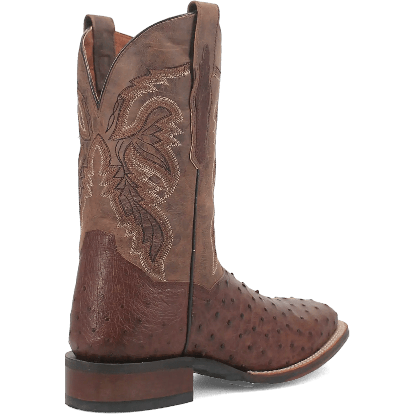 Dan Post Alamosa (Chocolate/Brown) - Men's Ostrich Skin Leather Cowboy Boots - My Store 3