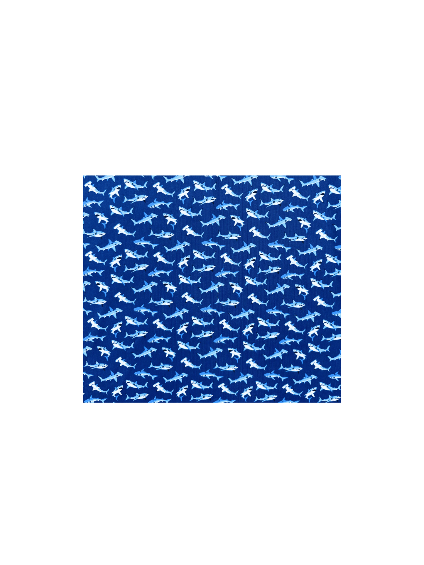 Sharks Polo - My Store 3