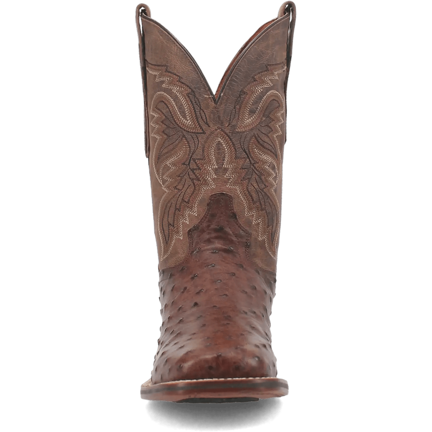 Dan Post Alamosa (Chocolate/Brown) - Men's Ostrich Skin Leather Cowboy Boots - My Store 3