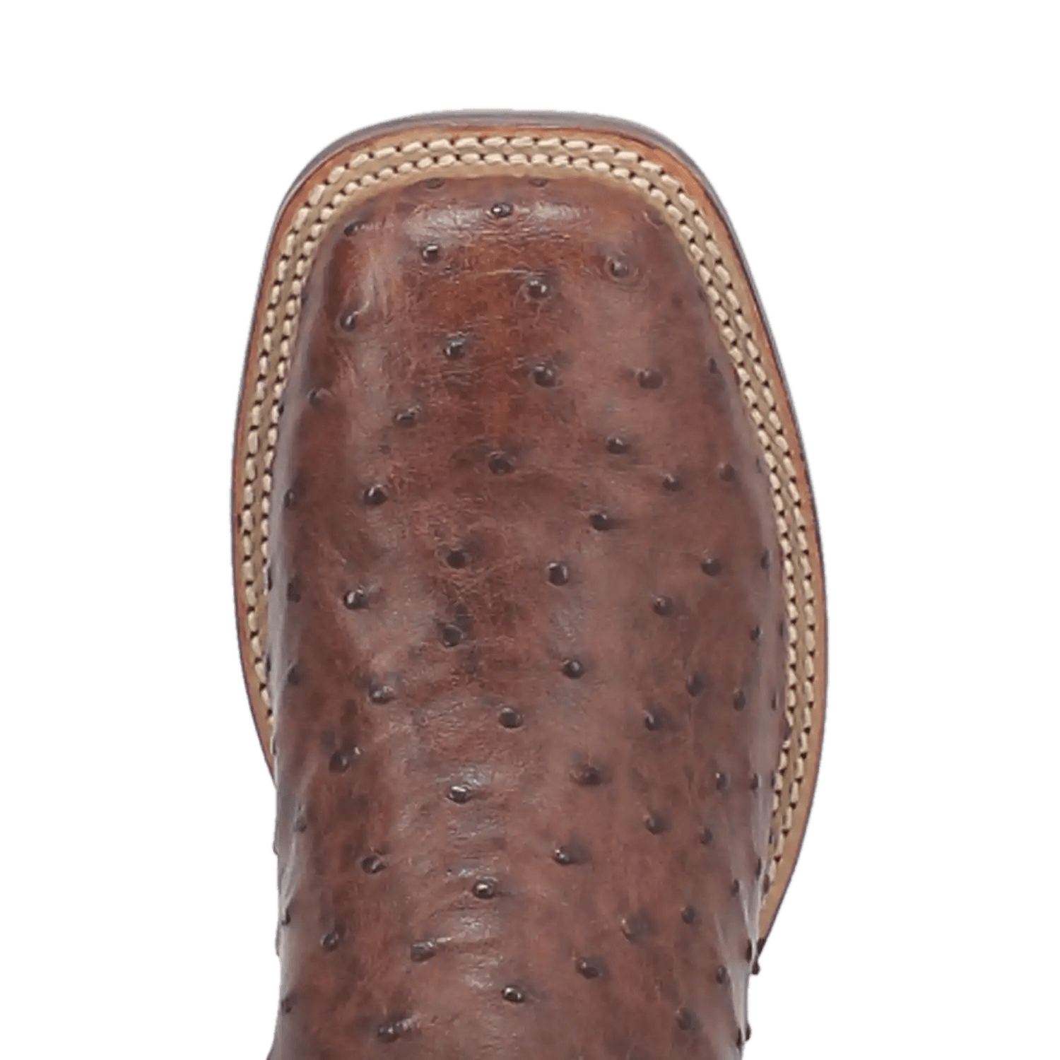 Dan Post Alamosa (Chocolate/Brown) - Men's Ostrich Skin Leather Cowboy Boots - My Store 3