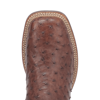 Dan Post Alamosa (Chocolate/Brown) - Men's Ostrich Skin Leather Cowboy Boots - My Store 3