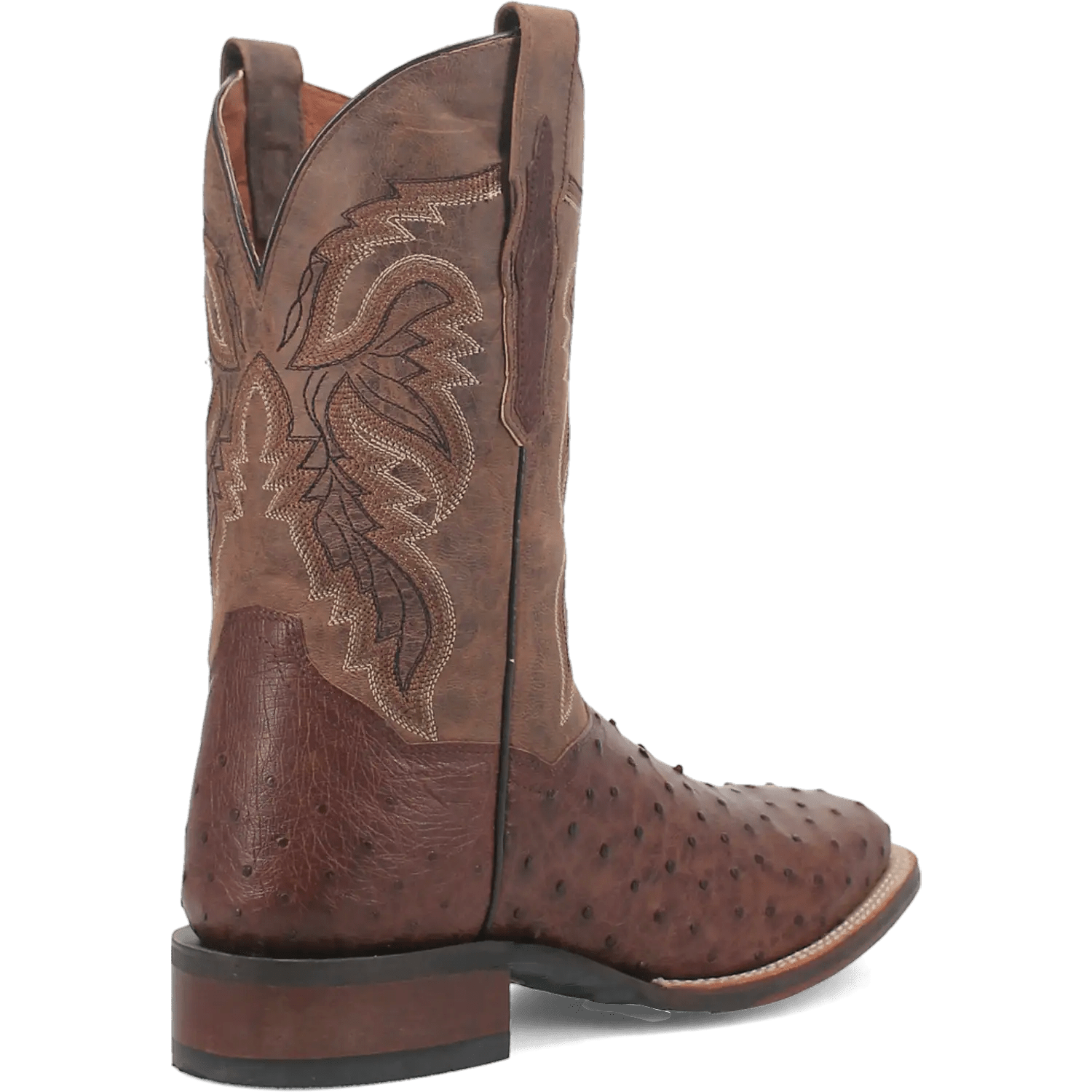 Dan Post Alamosa (Chocolate/Brown) - Men's Ostrich Skin Leather Cowboy Boots - My Store 3