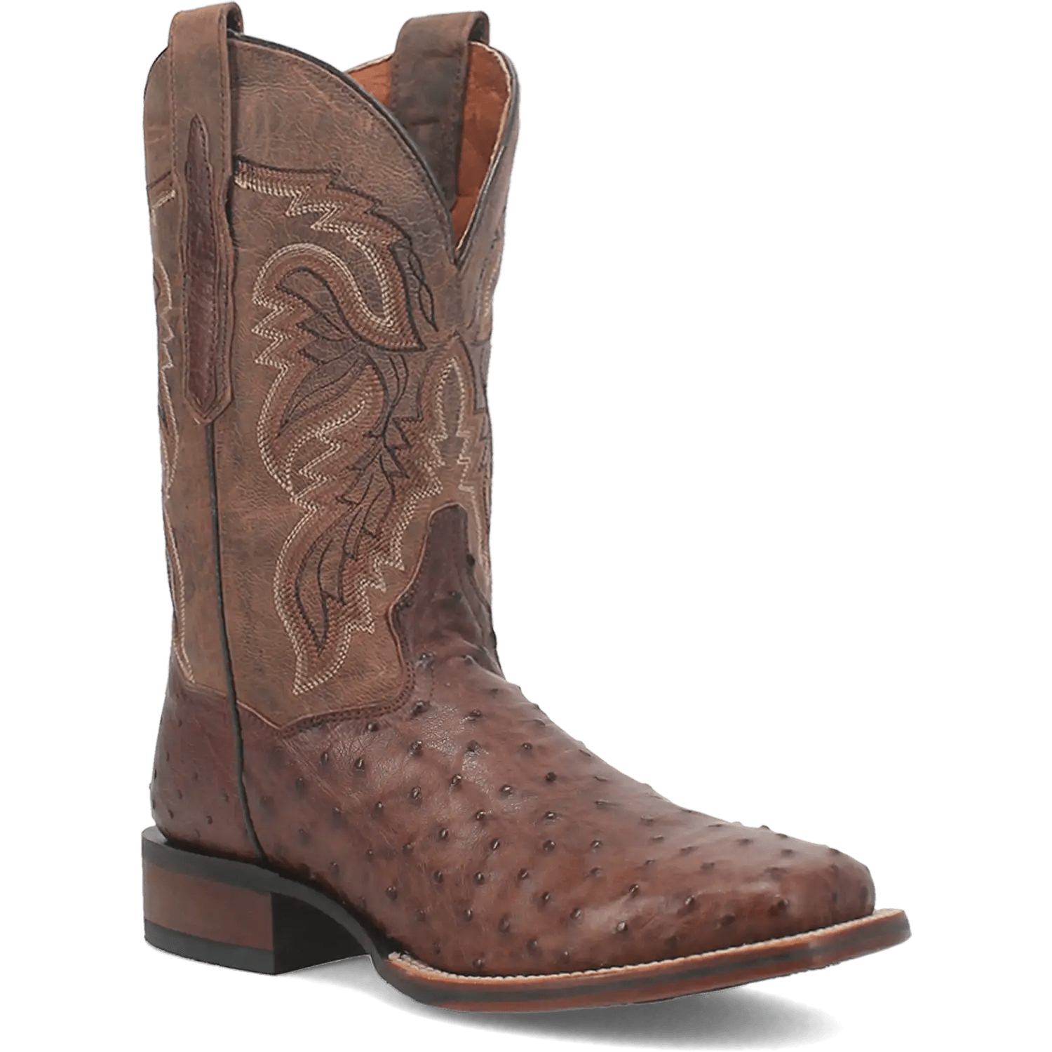 Dan Post Alamosa (Chocolate/Brown) - Men's Ostrich Skin Leather Cowboy Boots - My Store 3