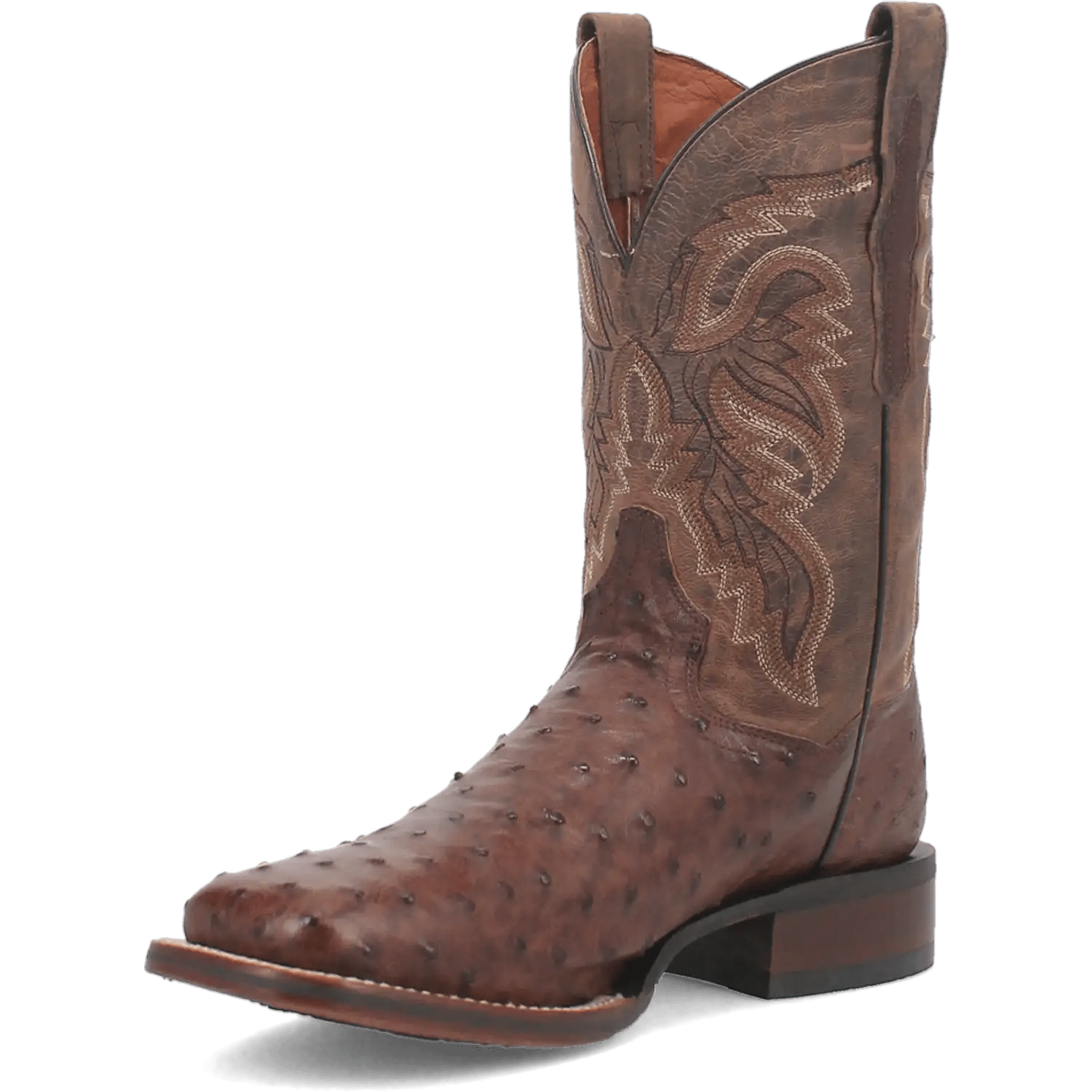 Dan Post Alamosa (Chocolate/Brown) - Men's Ostrich Skin Leather Cowboy Boots - My Store 3