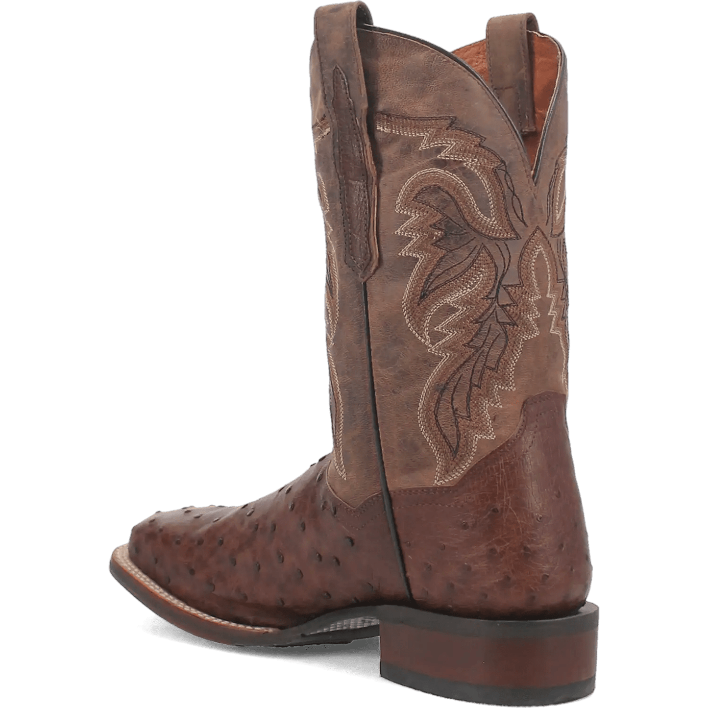 Dan Post Alamosa (Chocolate/Brown) - Men's Ostrich Skin Leather Cowboy Boots - My Store 3