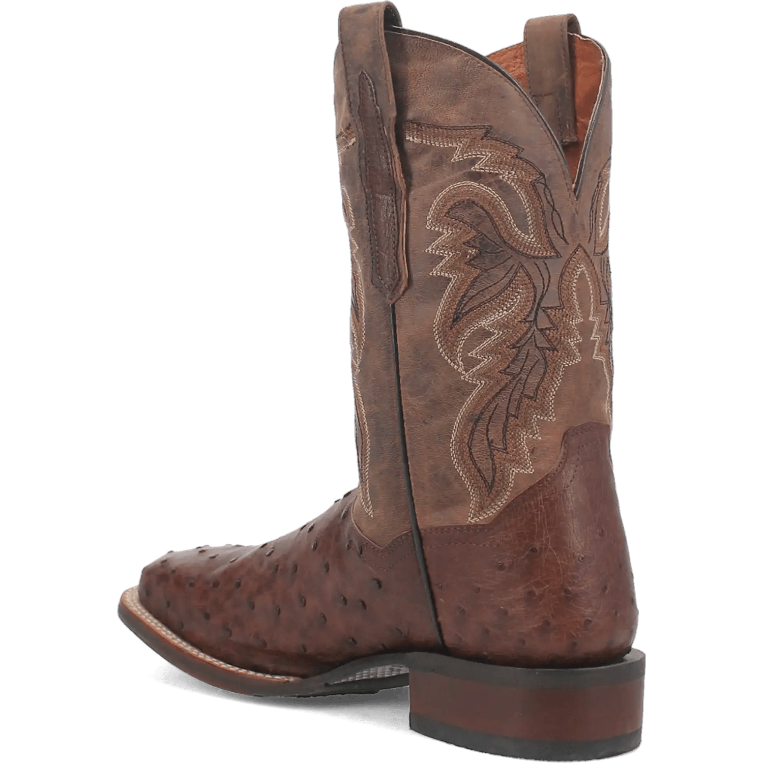 Dan Post Alamosa (Chocolate/Brown) - Men's Ostrich Skin Leather Cowboy Boots - My Store 3