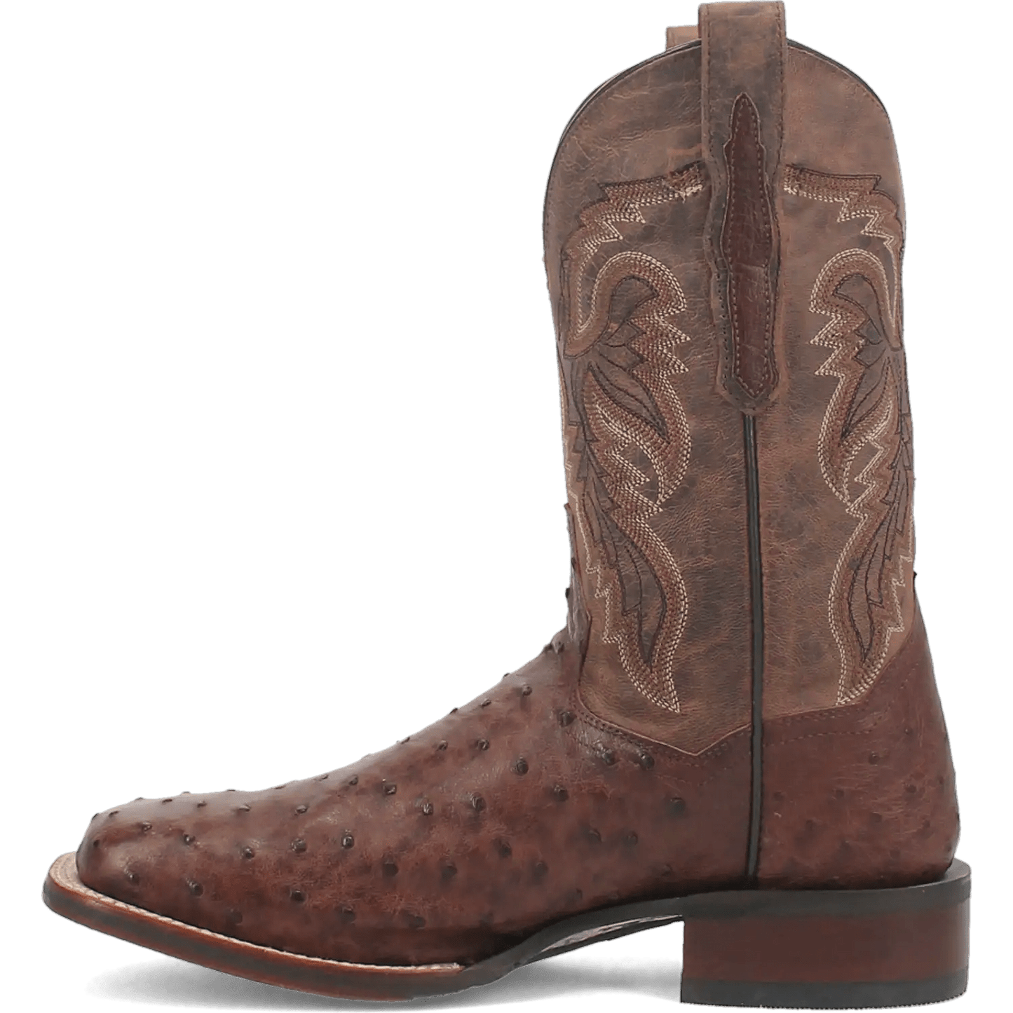 Dan Post Alamosa (Chocolate/Brown) - Men's Ostrich Skin Leather Cowboy Boots - My Store 3