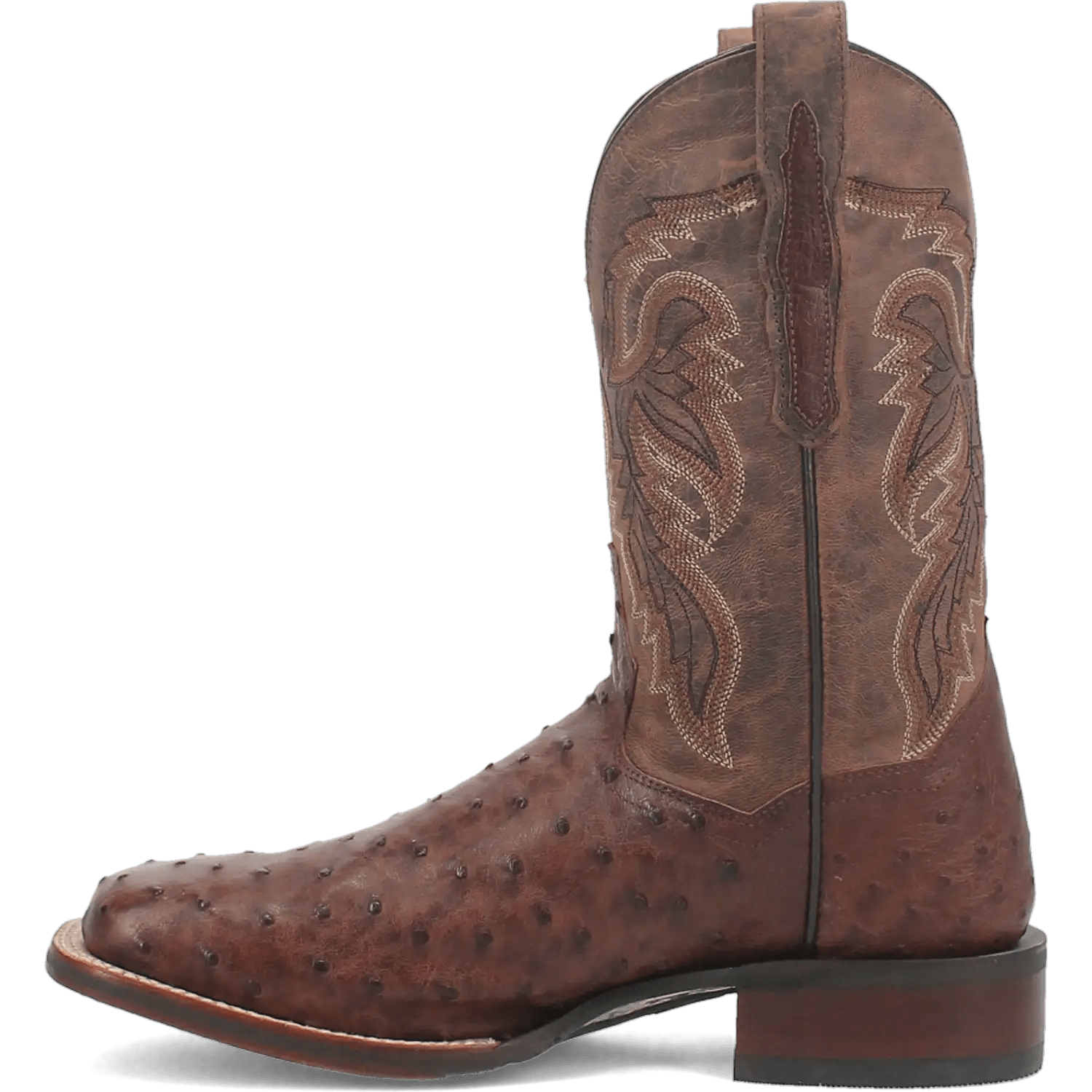 Dan Post Alamosa (Chocolate/Brown) - Men's Ostrich Skin Leather Cowboy Boots - My Store 3