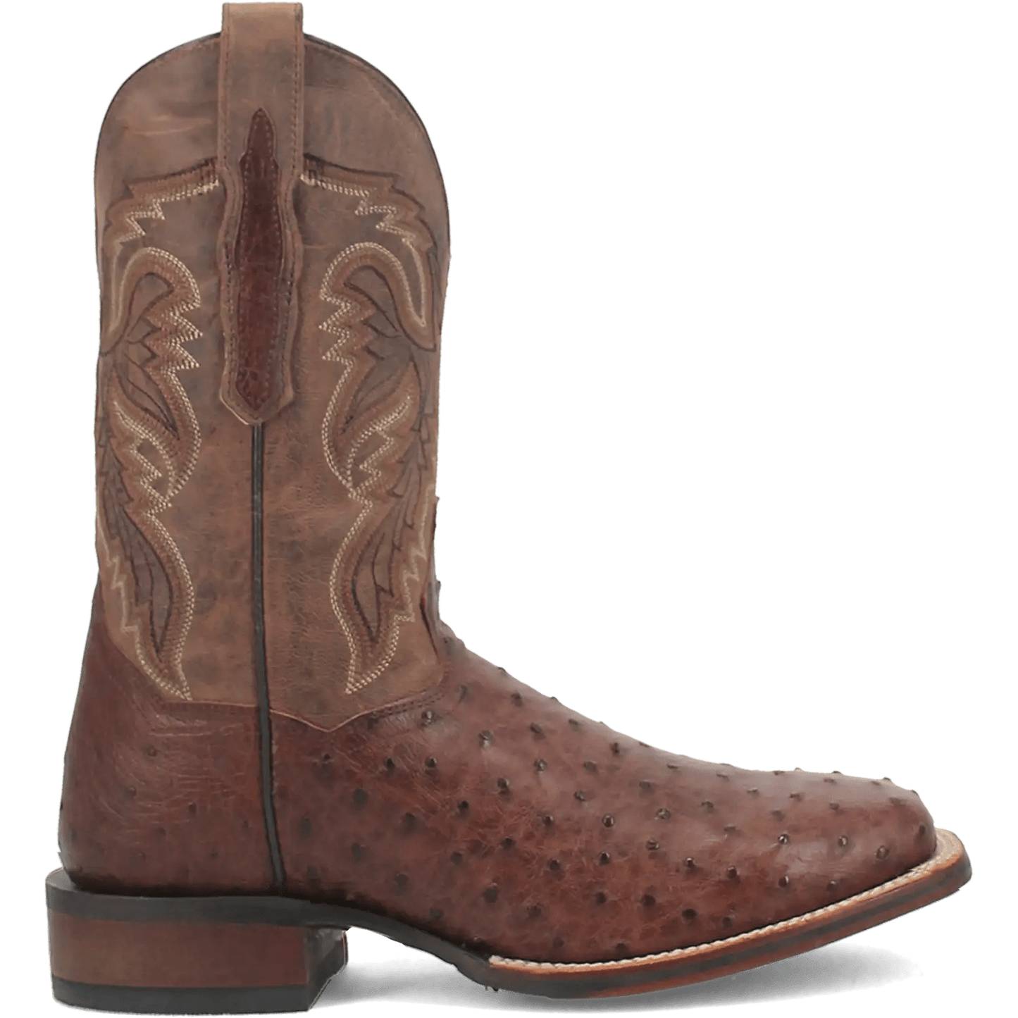 Dan Post Alamosa (Chocolate/Brown) - Men's Ostrich Skin Leather Cowboy Boots - My Store 3