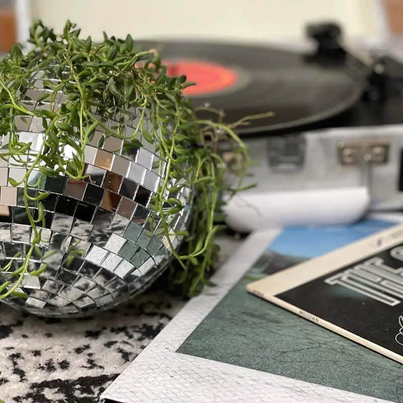 Disco Ball Flower Hanging Vase - My Store 3