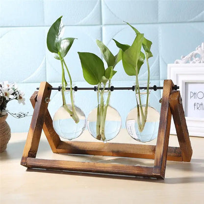Glass and Wood Vase Planter Table Desktop - My Store 3