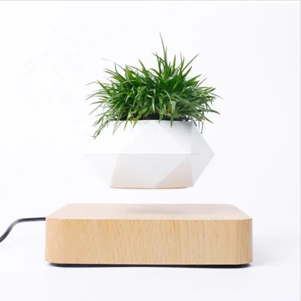 Potted Plant Home Desk Decor - My Store 3