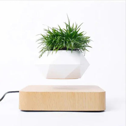 Potted Plant Home Desk Decor - My Store 3