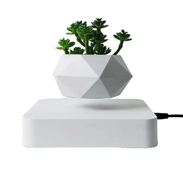 Potted Plant Home Desk Decor - My Store 3