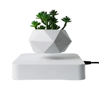 Potted Plant Home Desk Decor - My Store 3