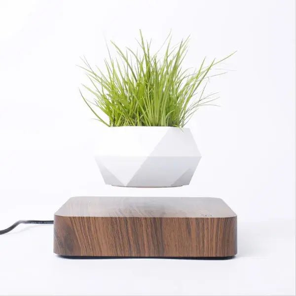 Potted Plant Home Desk Decor - My Store 3