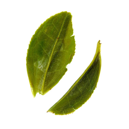 Rare Leaves Emerald - Single Estate Pi Lo Chun Green Tea - My Store 3