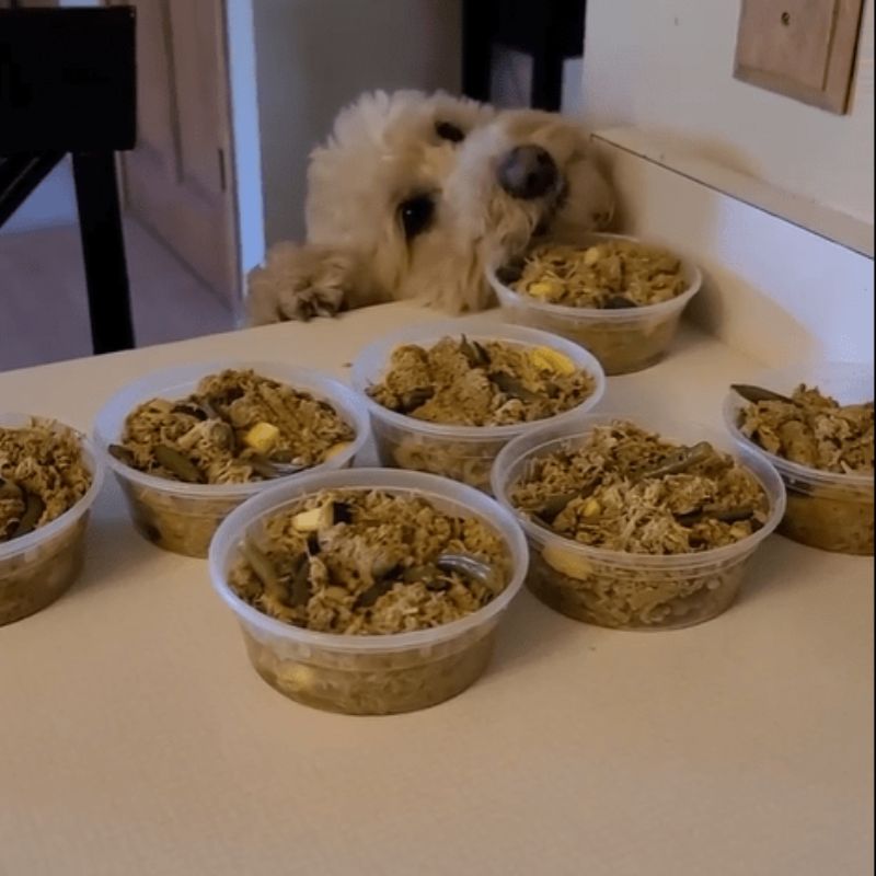 The Original Crockpet Diet™ Ebook and Recipes - My Store 3
